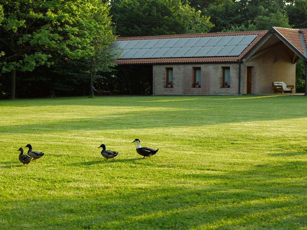 Relais Agrituristico Ormesani Villa San Liberale Exterior photo