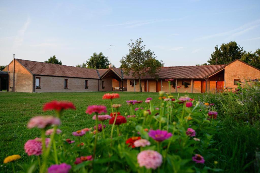 Relais Agrituristico Ormesani Villa San Liberale Exterior photo